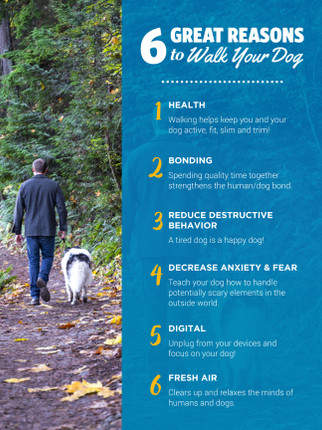 Walk Dog- 24 x 36 Poster