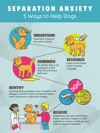 Separation- 18 x 24 Poster