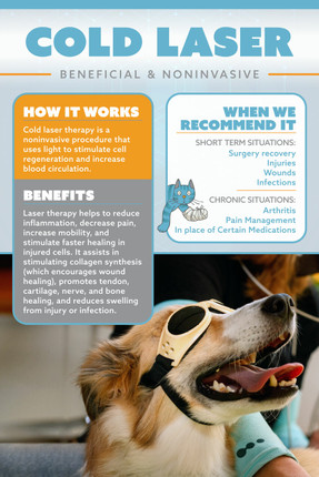 Laser Room - 18 x 24 Poster