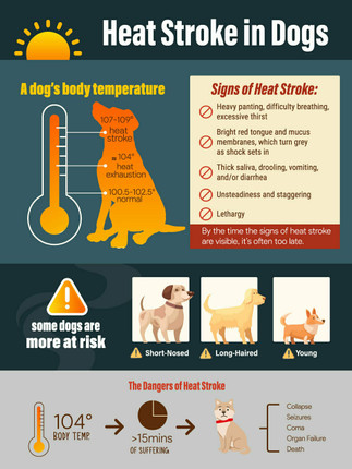 Heat Stroke- 8.5 x 11 Poster