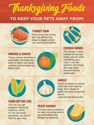 Thanksgiving Food- 8.5 x 11 Poster