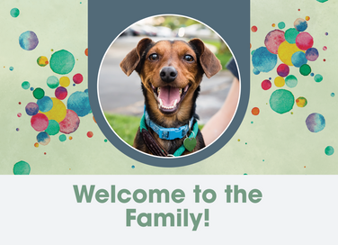 5 x 7 Welcome Card – Dog with Blank Envelopes