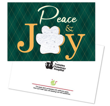 Peace and Joy Seed Paper Postcard