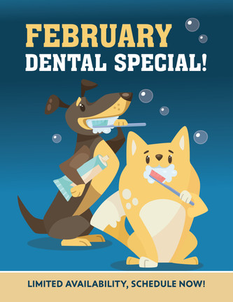 8.5" x 11" Flyer - February Dental Special (2)