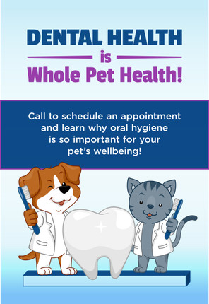 4mm Coroplast Sign - Sidewalk Sign for Sandwich Board