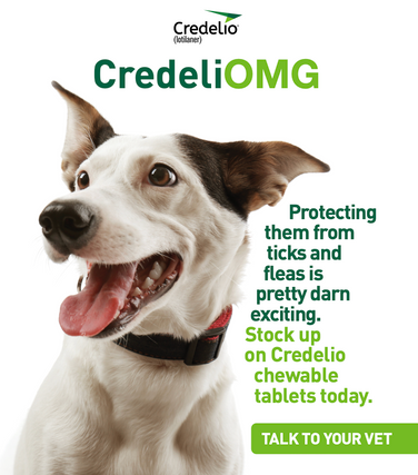 CredeliOMG - 18 x 24 Poster