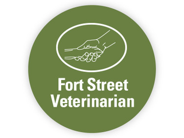 Removable Vinyl Sticker -3" Circle