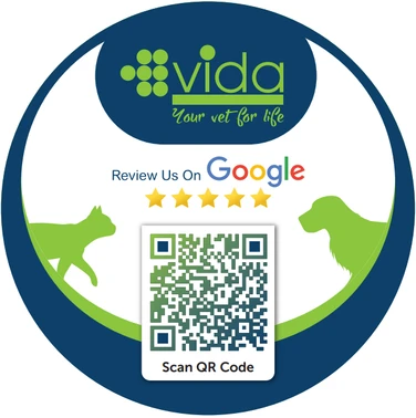 Google Review Vinyl Floor Decal - 12 x 12