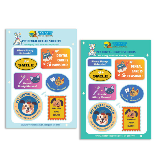 5" X 7" Dental Health Sticker Sheet