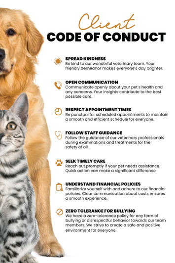 Code of Conduct - 8.5" x 11" Poster