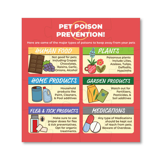 Pet Poison Prevention - Magnet Puzzle