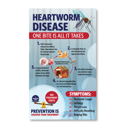 Heartworm Disease Awareness Card Magnet 4" x 6"