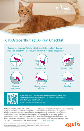 Solensia - 11x17 Poster