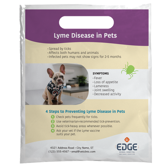 Tick & Lyme Disease Awareness  12 x 16 Full Color Supply Bag – One Side