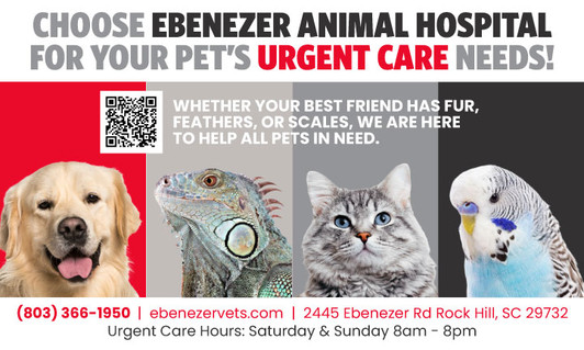 Urgent Care Magnet - Version 1 - 4"x6"