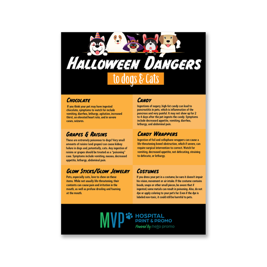 Halloween Dangers to Dogs & Cats v2 - 5 x 7 Magnet