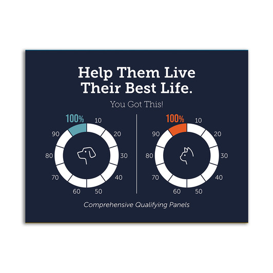 8.5 x 11 Brilliant Basics Flyer – Pet Care Thermometer