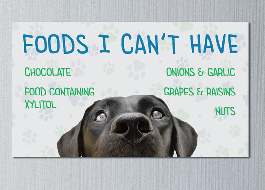 Pet Poison Prevention V2  2x3.5 Card Magnet