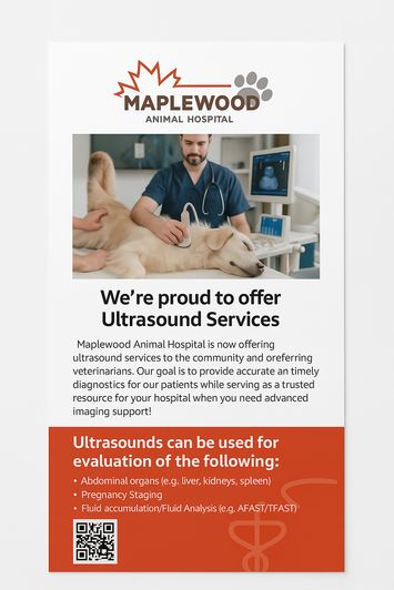 Single Panel Brochure - 100 lb. Gloss Book