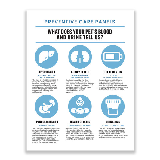 Diagnostic 8.5" x 11" 100LB Gloss Text Flyer
