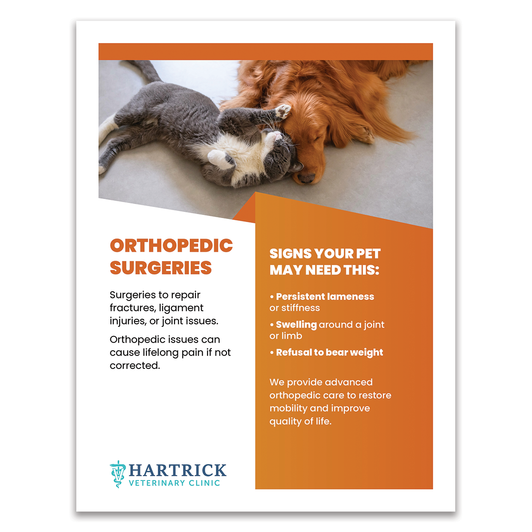 Services Layout 2 - 8.5 X 11 Poster