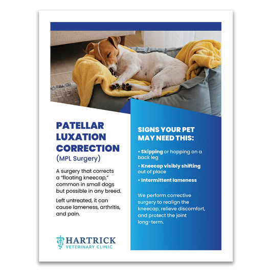 Services Layout 4 - 8.5 X 11 Poster