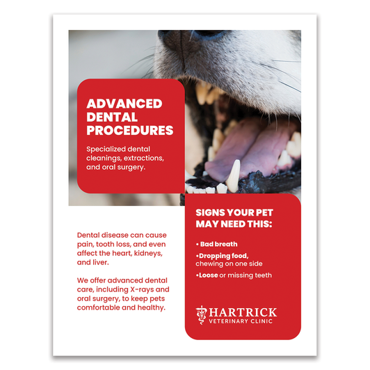 Services Layout 11 - 8.5 X 11 Poster