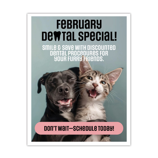 Dental February Dental Special -  24 x 36 Poster