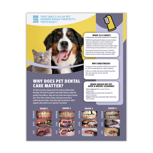 Pet Dental Care -  18 x 24 Poster