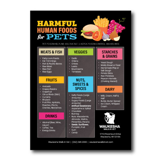 Toxic Foods Magnet - 5 x 7