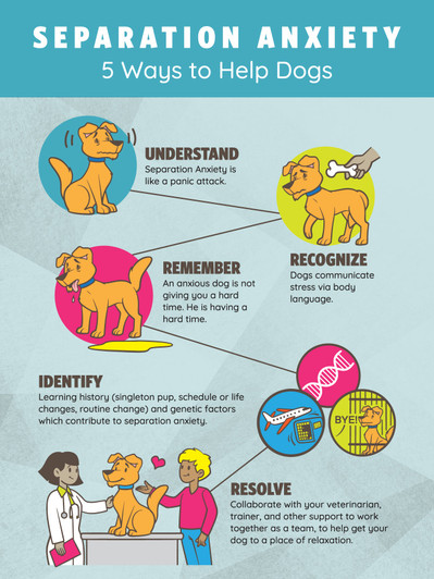 Separation- 24 x 36 Poster