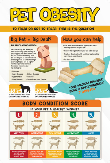 Pet Obesity - 24 x 36 Poster