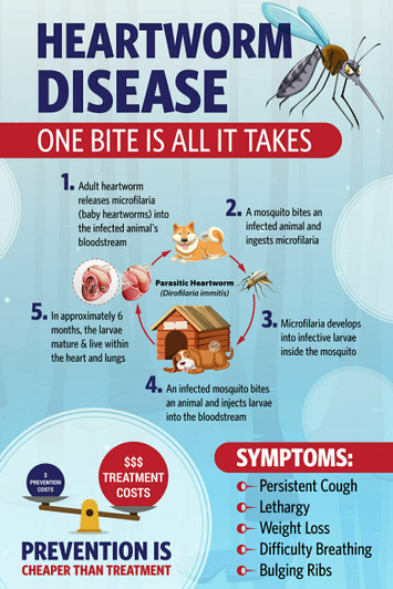 Heartworm- 8.5 x 11 Poster