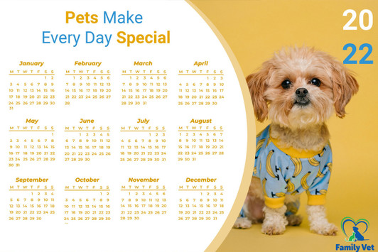 Heavy Duty Counter Mat-11"x17"x1/8"