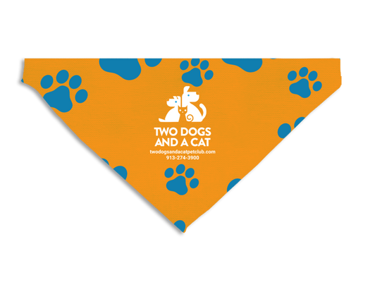 Small Pet Bandana