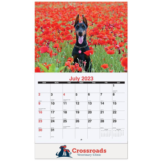 Furever Friends Wall Calendar (Stapled)