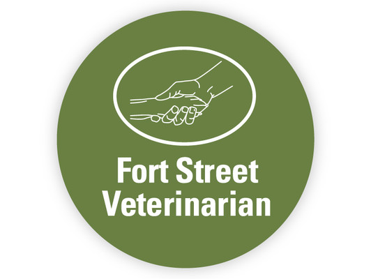 Removable Vinyl Sticker -3" Circle