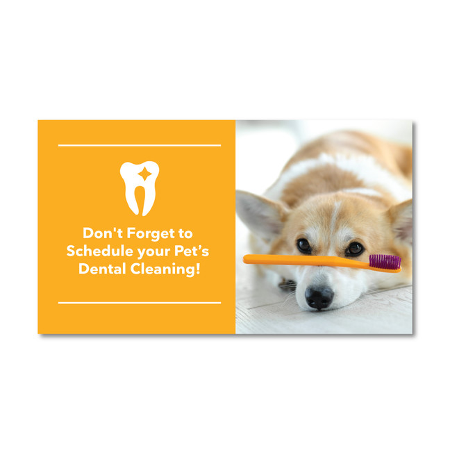 Dental Month Business Card Magnet  V2