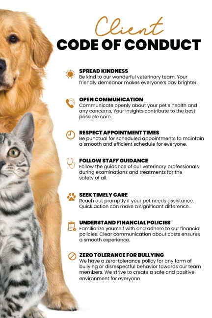 Code of Conduct - 12"x18" Poster