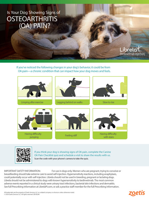 Librela - 18 x 24 Poster