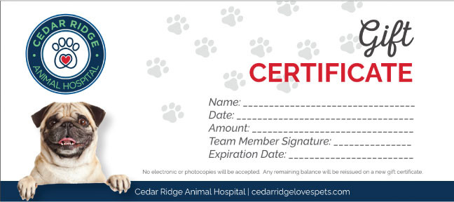 Clinic 4"x 9" Gift Certificate