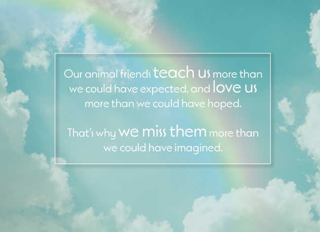 Rainbow Animal Friends 5 x 7 Card with Blank Envelopes