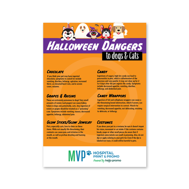 Halloween Dangers to Dogs & Cats - 5 x 7 Magnet