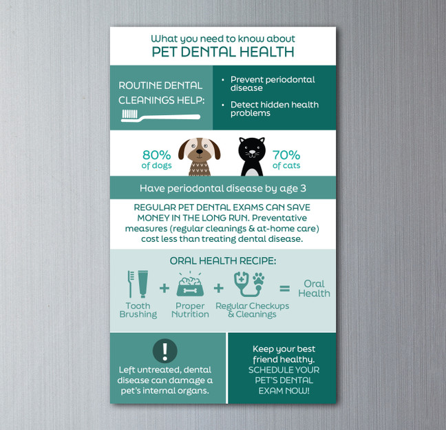 Dental Month Business Card Magnet  V4