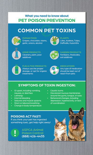 Pet Poison Prevention V2  5x7 Card Magnet