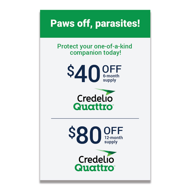 Digital Downloadable - General Practice Discount Counter Cards - Credelio Quattro