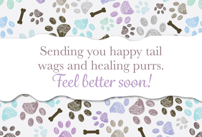 Get Well Cards Paws & Bones with Blank Envelopes