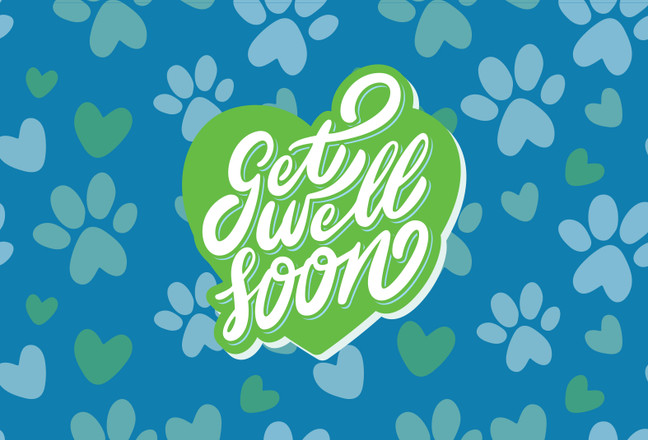 Get Well Cards Heart & Paws with Blank Envelopes