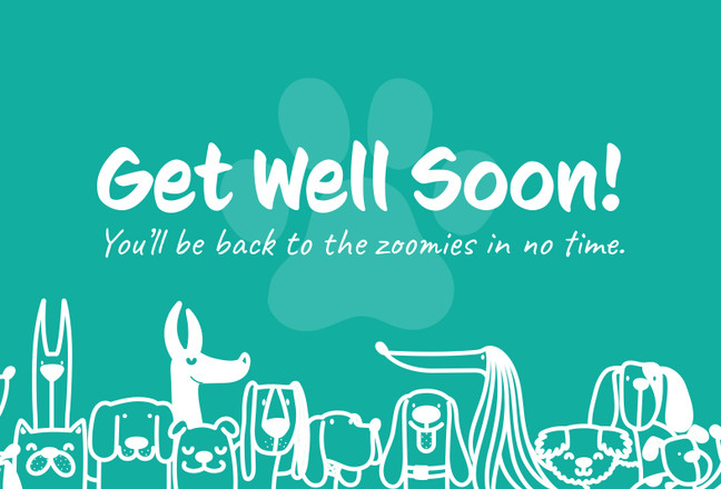 5 x 7 Get Well Cards Dogs with Blank Envelopes