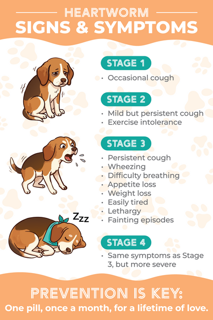 Heartworm Awareness Magnet 4" x 6"